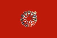 新建回收红酒